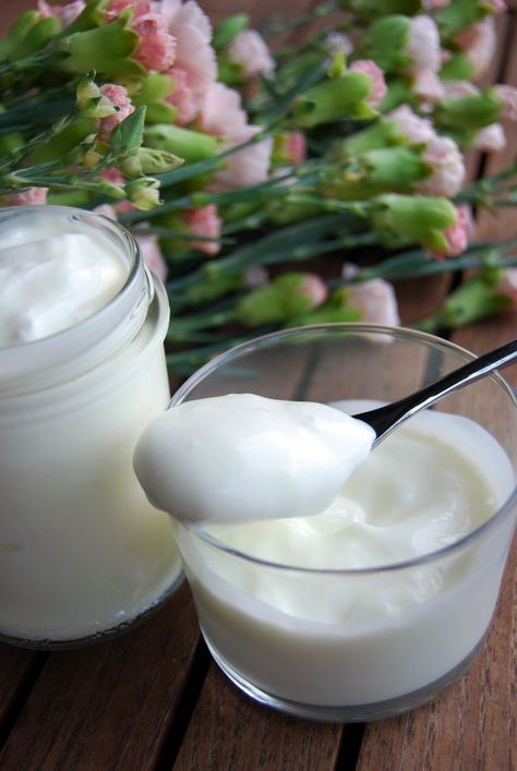 Yogurt fatto in casa: scopri la ricetta senza lattosio alla portata di tutti! Ecco cosa devi&nbsp;fare