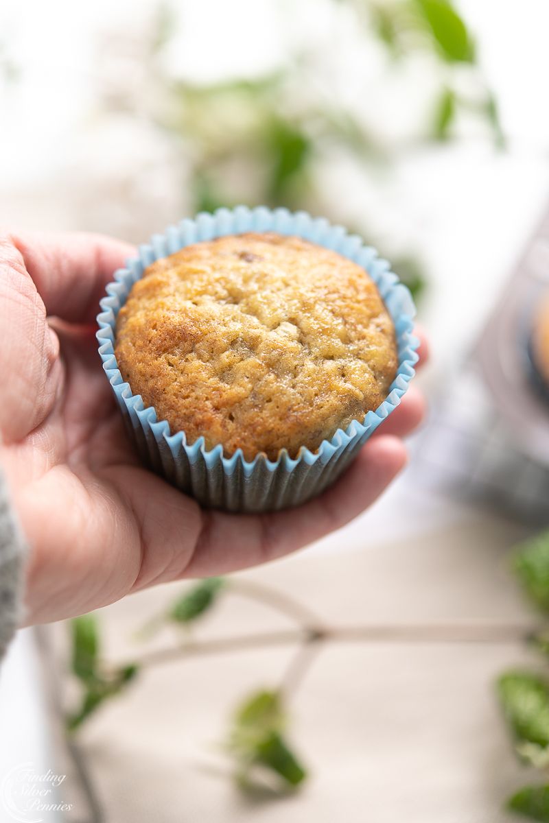 Muffin alle banane e noci pecan: sono senza uova e senza burro! Scopri la ricetta light che piace a&nbsp;tutti